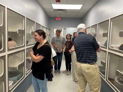 Animal Shelter Visit - cat section.jpg